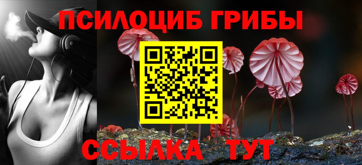 Каспийск  Псилоцибиновые грибы мицелий  Вход с VPN 